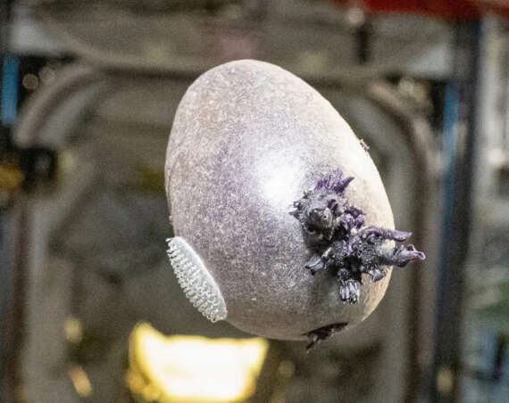 Astronaut spots something horrifying floating in space, and it’s staring back at you