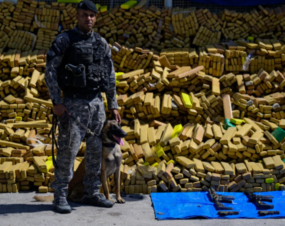 Brazilian police dog sniffs out 48 tons of marijuana in record bust