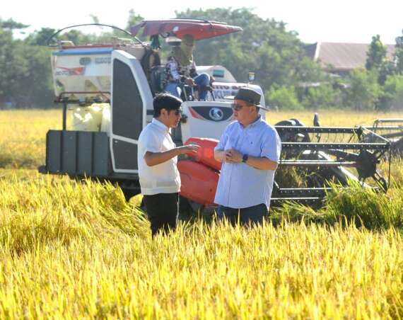 With two years left, BBM must stop imports from flooding markets before they wipe out what’s left of PH farming